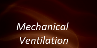 Mechanical Ventilation 1st edition
