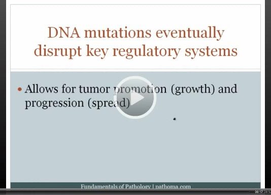 3-3b Carcinogenesis Part 2