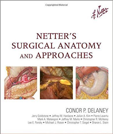 Netter’s Surgical Anatomy and Approaches, 1e (Netter Clinical Science)