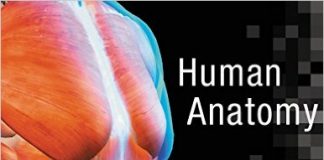 Human Anatomy (8th Edition) 8th Edition