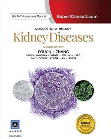Diagnostic Pathology: Kidney Diseases, 2e 2nd Edition