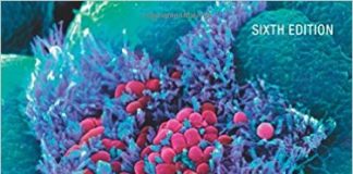 Understanding Pathophysiology, 6e 6th Edition
