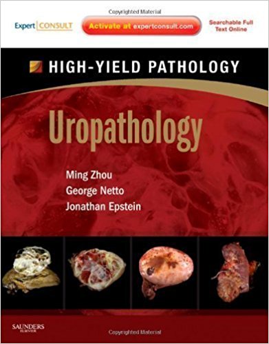 Uropathology-A-Volume-in-the-High-Yield-Pathology-Series-1e