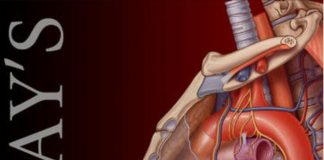 Gray’s Atlas of Anatomy 1st Edition PDF