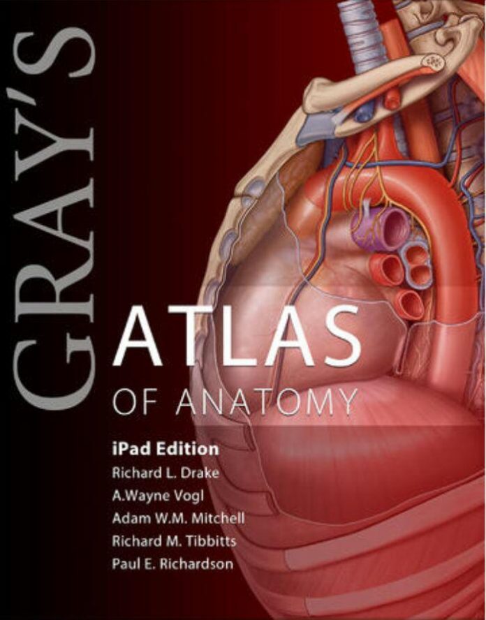 Gray’s Atlas of Anatomy 1st Edition PDF