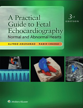 A Practical Guide to Fetal Echocardiography: Normal and Abnormal Hearts Third Edition