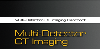 Multi-Detector CT Imaging: Abdomen, Pelvis, and CAD Applications 1st Edition