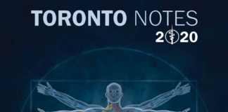 Toronto Notes 2020