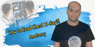 Dr. Yusuf Shieba how to read chest xray