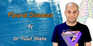 Dr. Yusuf Shieba