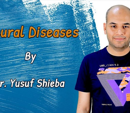 Dr. Yusuf Shieba