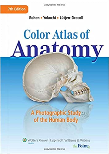 Color Atlas of Anatomy 7th Edition PDF