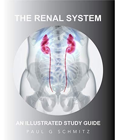 The Renal System An Illustrated Study Guide PDF