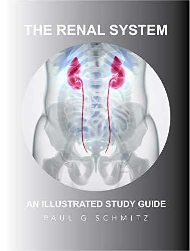 The Renal System An Illustrated Study Guide PDF
