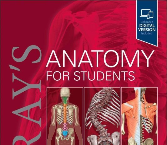 Gray's Anatomy for Students 5th Edition 2023