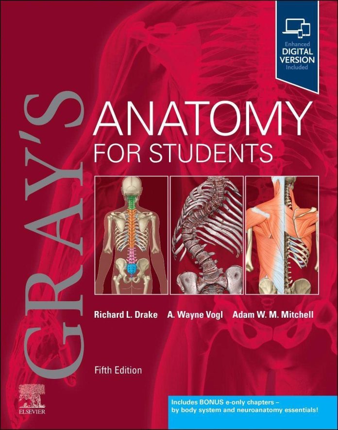 Gray's Anatomy for Students 5th Edition 2023
